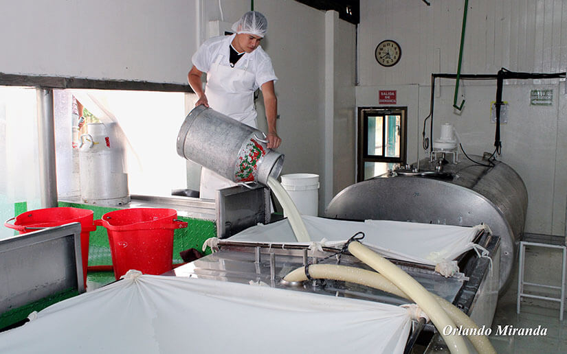 estrategia-produccion-lactea